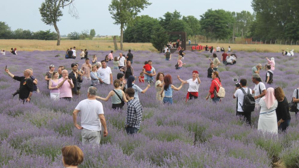 Edirne’de lavanta tarlasında şenlik! Trakya havaları renkli anlar oluşturdu