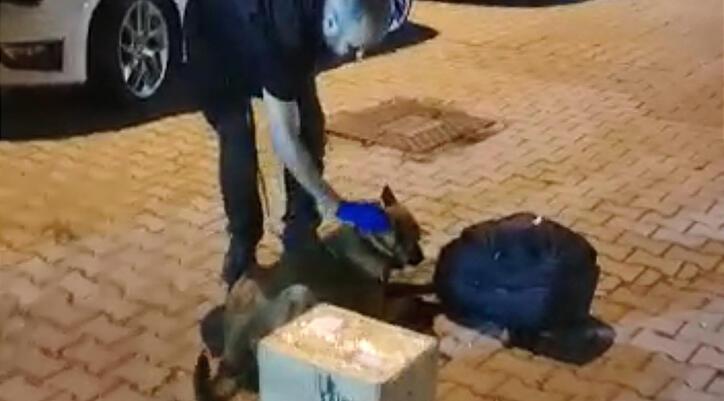 Narkotik köpeği ‘Coco’nun tepkisi ortaya çıkardı! 3 kilo esrar ele geçirildi