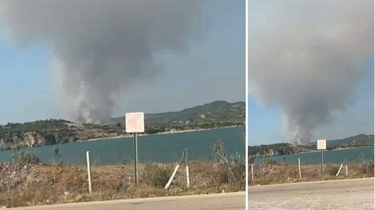 Adana’da orman yangını