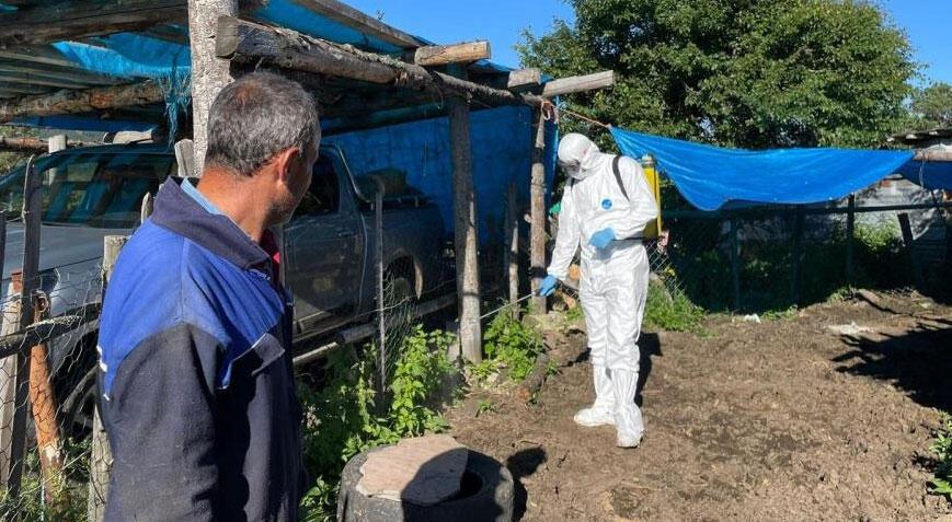 Artvin’de şap hastalığı alarmı! 4 ilçede canlı hayvan ticaretine kısıtlama geldi