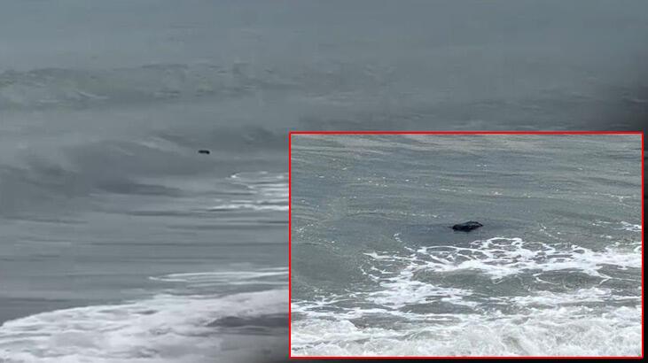 ‘Denizde ceset’ ihbarı yapıldı, gerçek başka çıktı