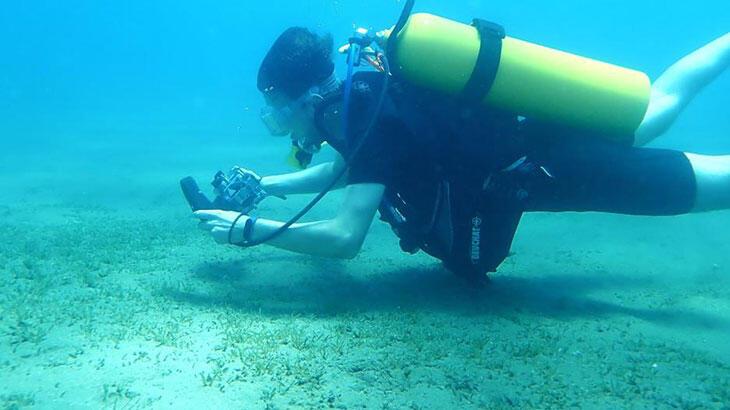 Doğu Akdeniz’i göçmen çayırı sarmaya başladı