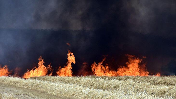Edirne’de 250 dönüm buğday tarlası yandı