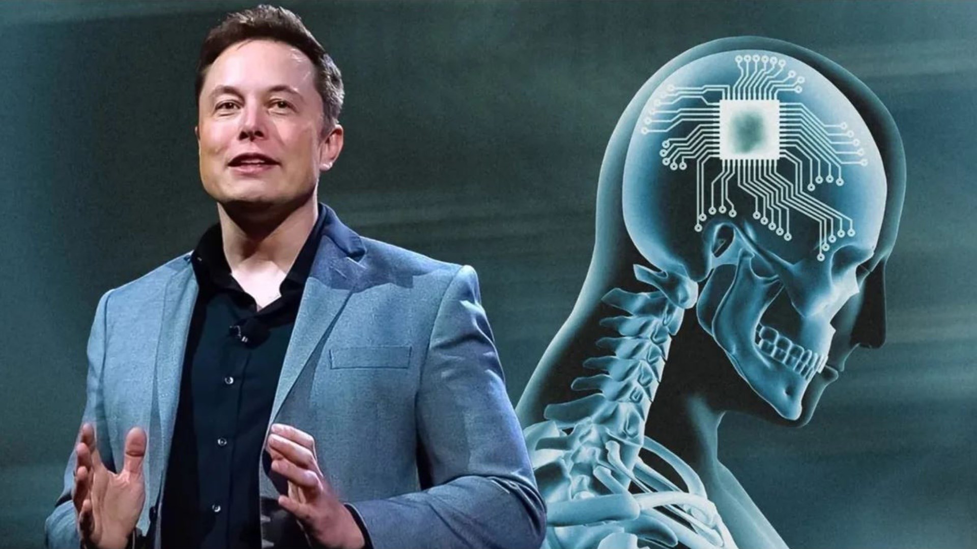 Hayvanlara eziyet soruşturmasında Elon Musk aklandı!
