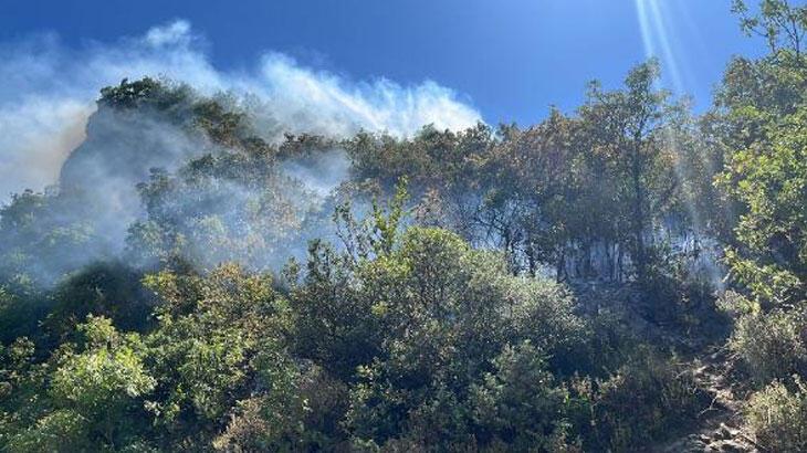 Son dakika: Uludağ eteklerinde orman yangını