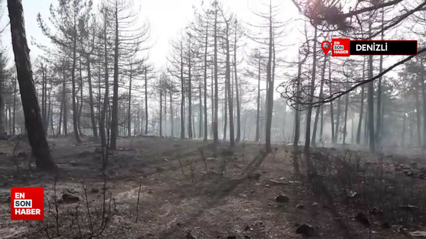 7 ilde orman yangınlarıyla mücadele