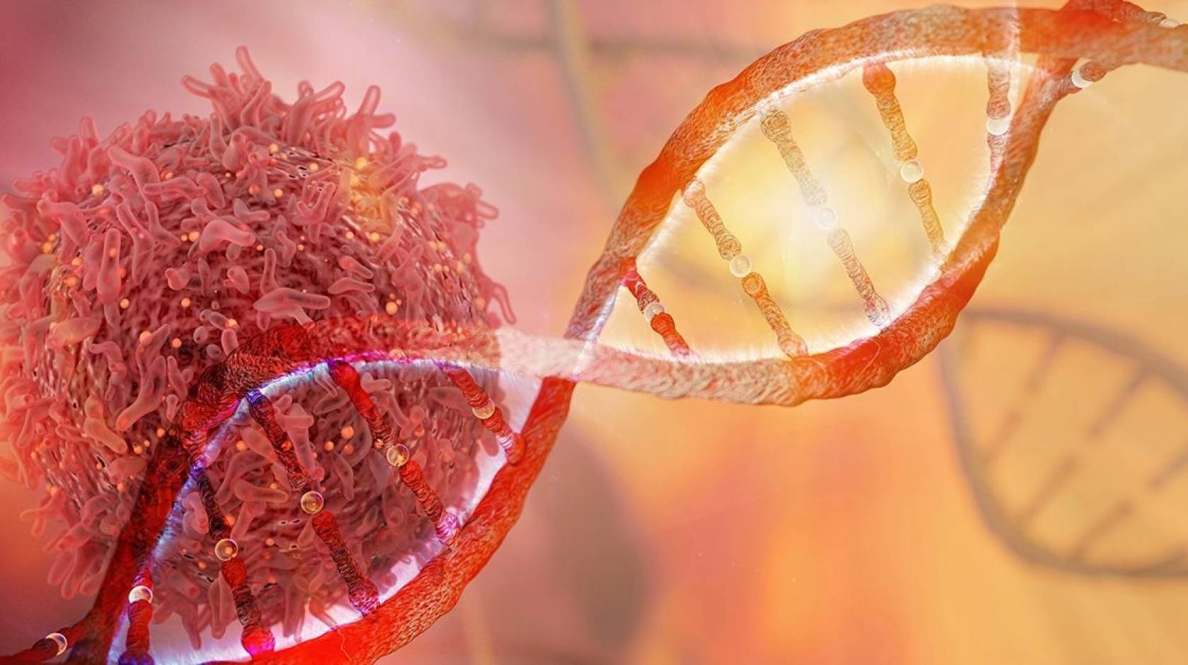 Genetik mühendislik: Kanser hücrelerini tespit etmek için bakteriler geliştirildi