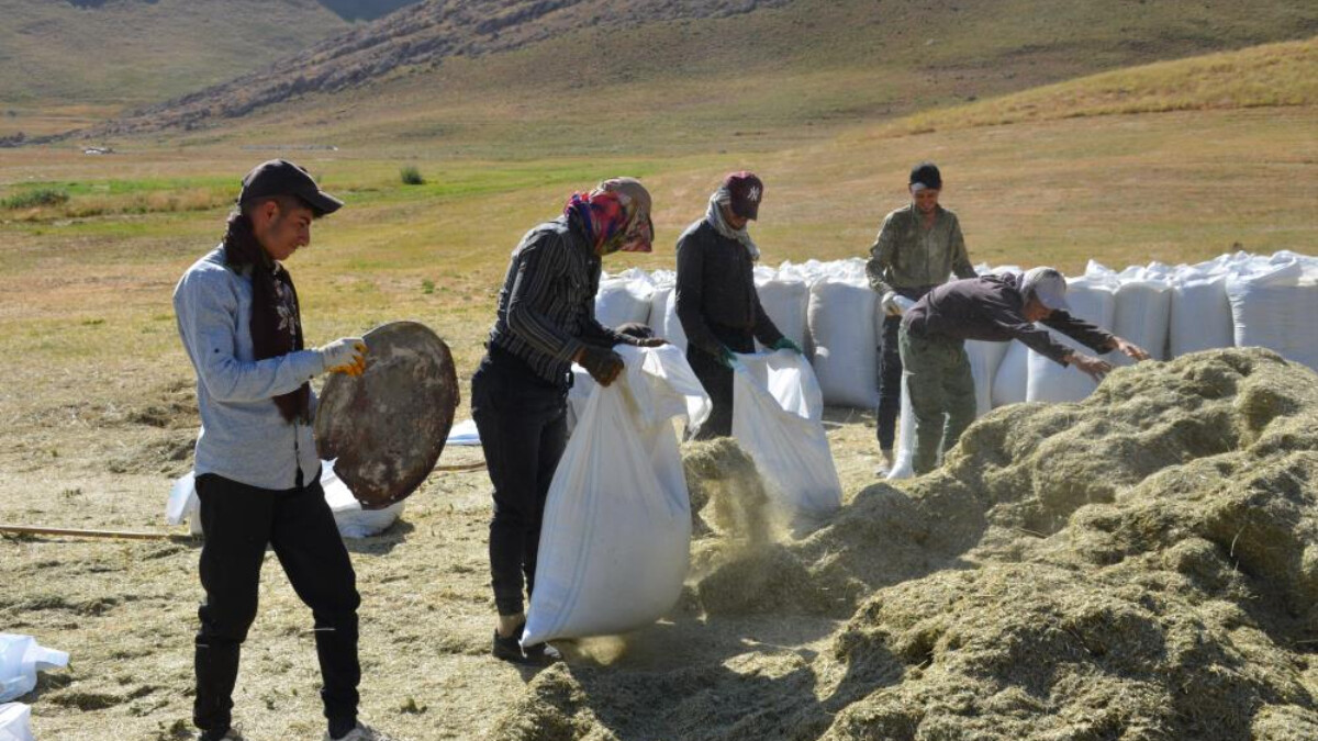 Şırnak’ta besicilerin kış hazırlıkları devam ediyor