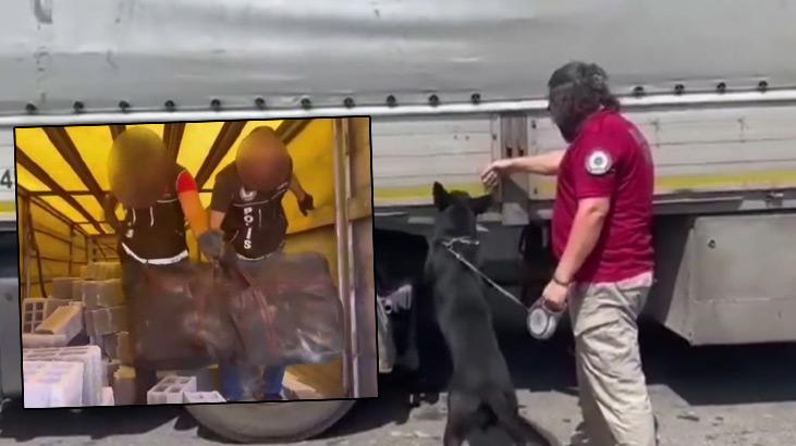 4 ilde uyuşturucu tacirlerine darbe! Bakan Yerlikaya paylaştı