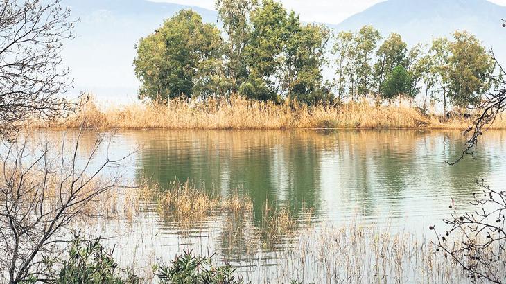 Doğada meydana gelen değişim ortaya çıkarılacak
