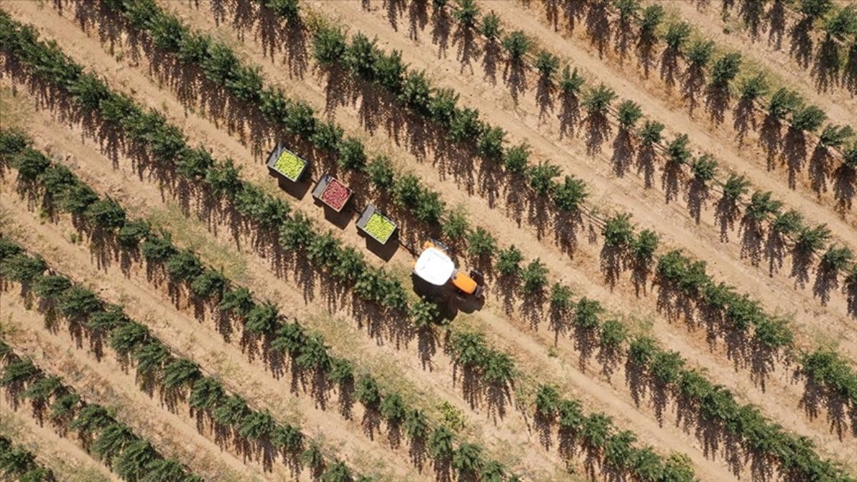 AB’den Türkiye’ye 555 milyon euro tarımsal destek