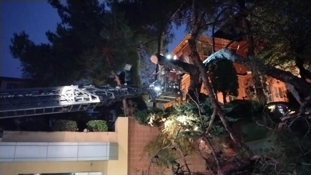 İstanbul’da korku dolu anlar! Hastane bahçesine ağaç devrildi