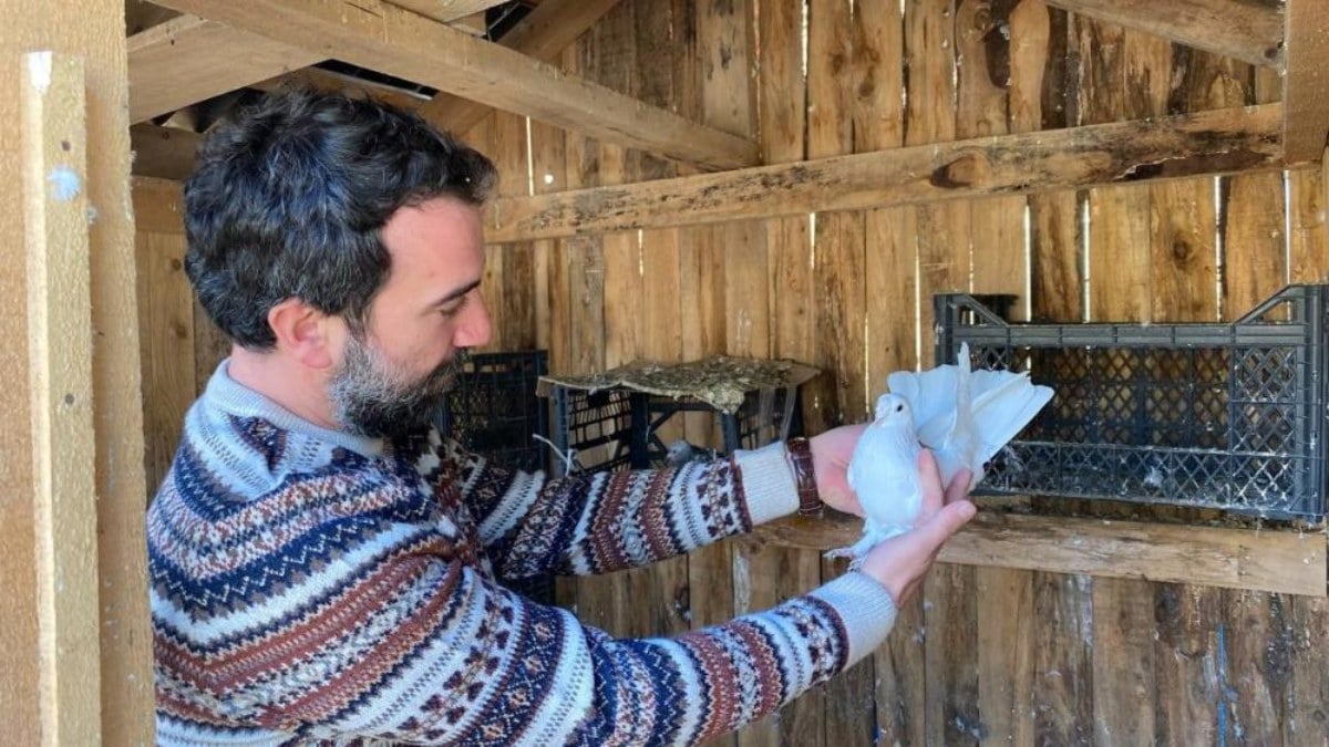 Artvin’de taklacı güvercin atmacaya rakip oluyor
