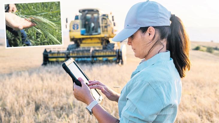 Hasat erken oldu beklenti iyi fiyat! Buğdayda kilograma 15 tl talebi var