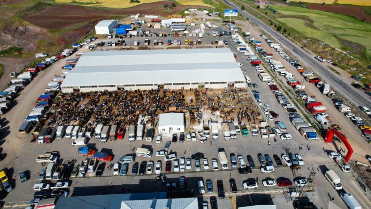 Ankara’daki kurban pazarlarında yoğunluk başladı