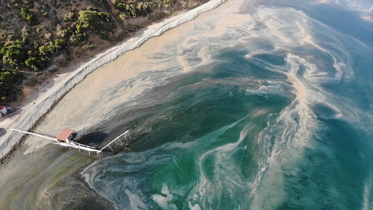Tekirdağ’da deniz suyu ısındı, denizin rengi değişti