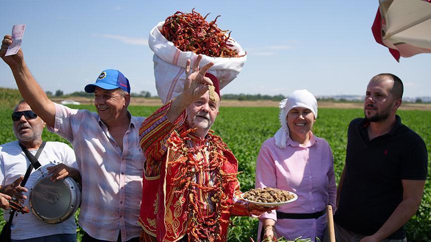 Kavurucu sıcaklar Karaağaç biberinde hasadı geciktirdi