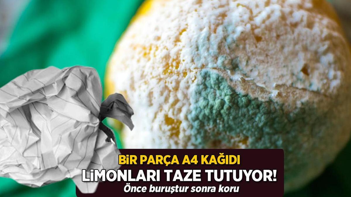 Bir parça A4 kağıdı tazecik tutuyormuş! Önce buruşturun, sonra limona sarın