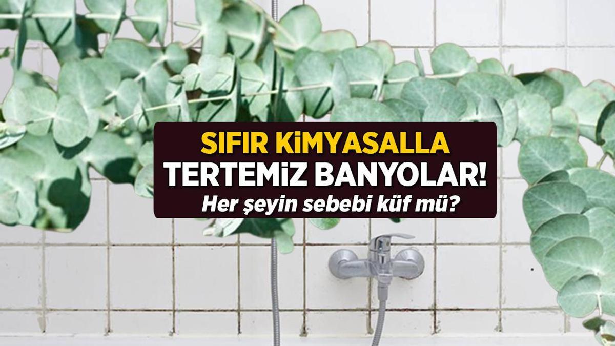 Sıfır kimyasalla tertemiz banyolar! Bir dal asınca ne küf ne gider kokusu kalıyor
