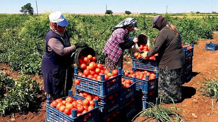 Sözleşme fırsatçısına müsaade edilmeyecek