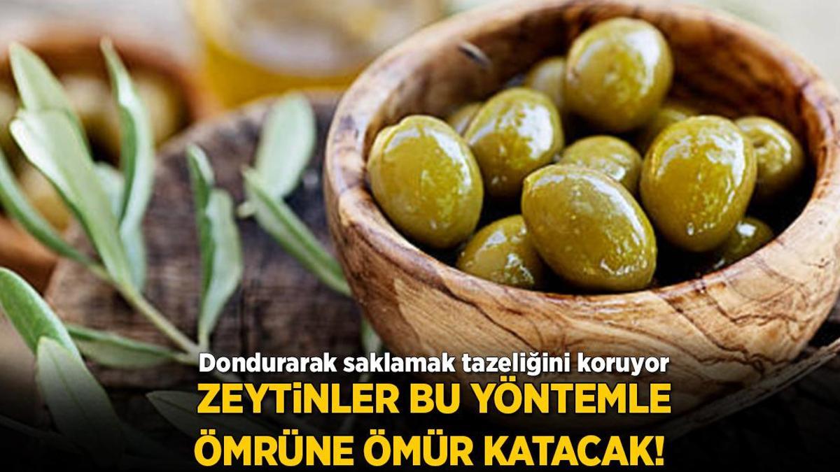 Yeşil zeytin böyle saklanırsa ömre ömür katıyor! Karanlık şart, buzluktaysa sorun yok