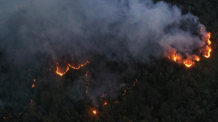 Artvin’de örtü yangını ormana sıçradı