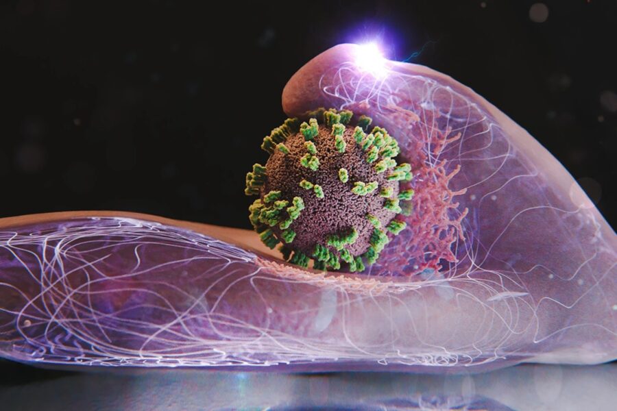 Grip virüsünün hücrelere girişi ilk kez gerçek zamanlı izlendi